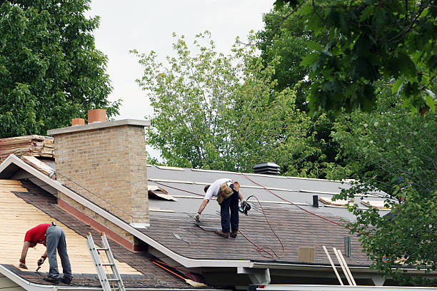 Best Roof Moss and Algae Removal  in Rockton, IL