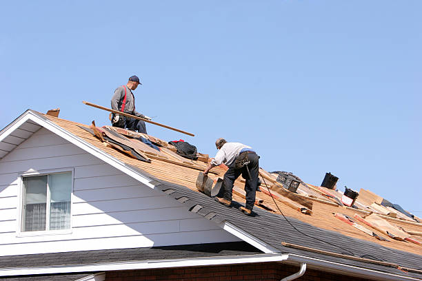 Best Steel Roofing  in Rockton, IL